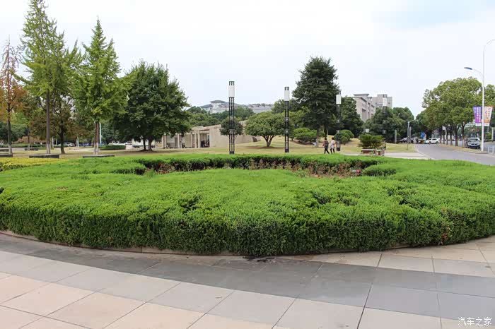 圆形花圃里有一些花,这个造型不错