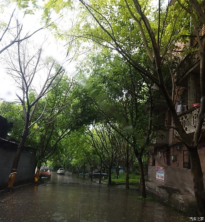 全世界是不是相約都在下雨