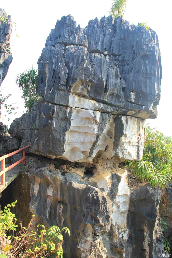 祖国南部自驾游 (49)崇左石景林景区