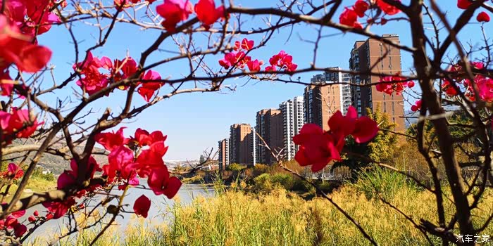 2019春节游东方阳光谷米易