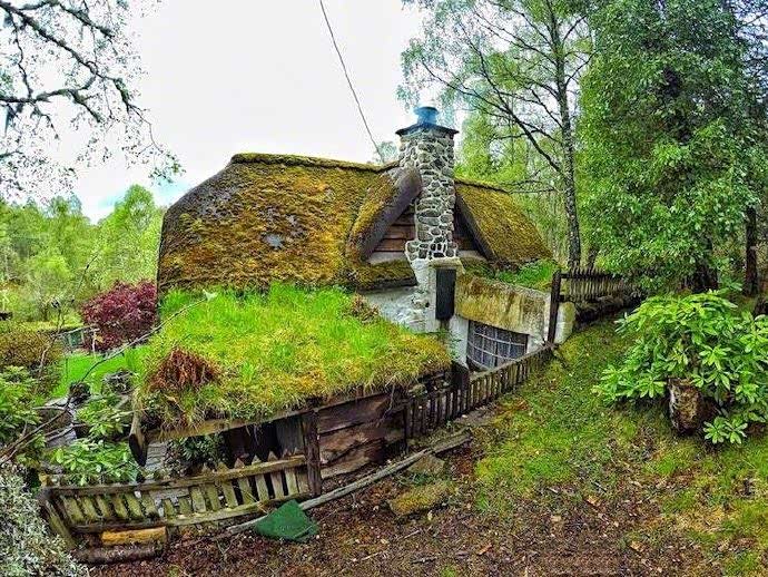 现实电影中霍比特人的房子,这实感,简直不要太酷啊