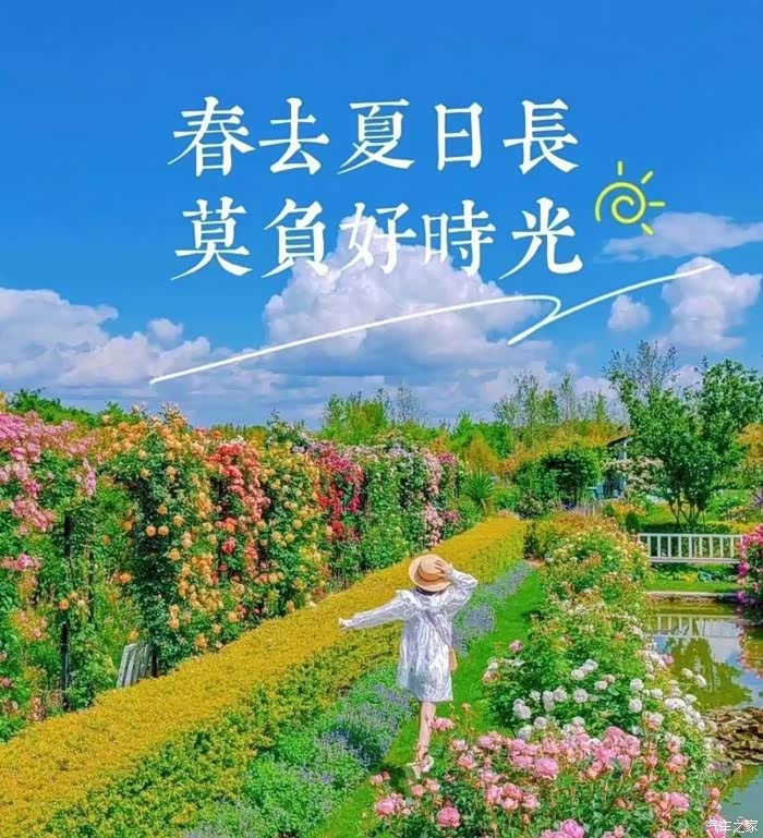 春去夏日长莫负好时光