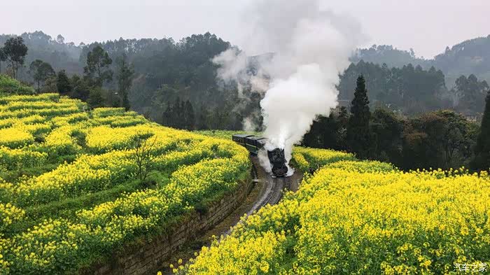 打卡成都峨眉山花海小火车