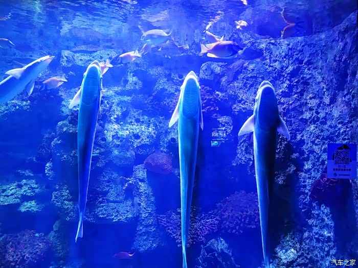 左海海底世界的不一样的世界