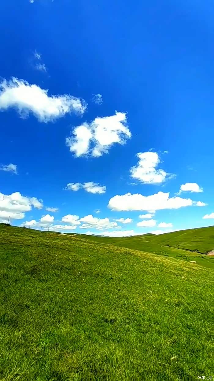 蔚蓝的天,碧绿的地
