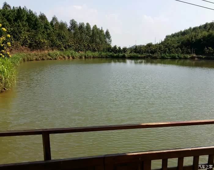 和沃尔沃s60l自驾游东洲温泉风景区