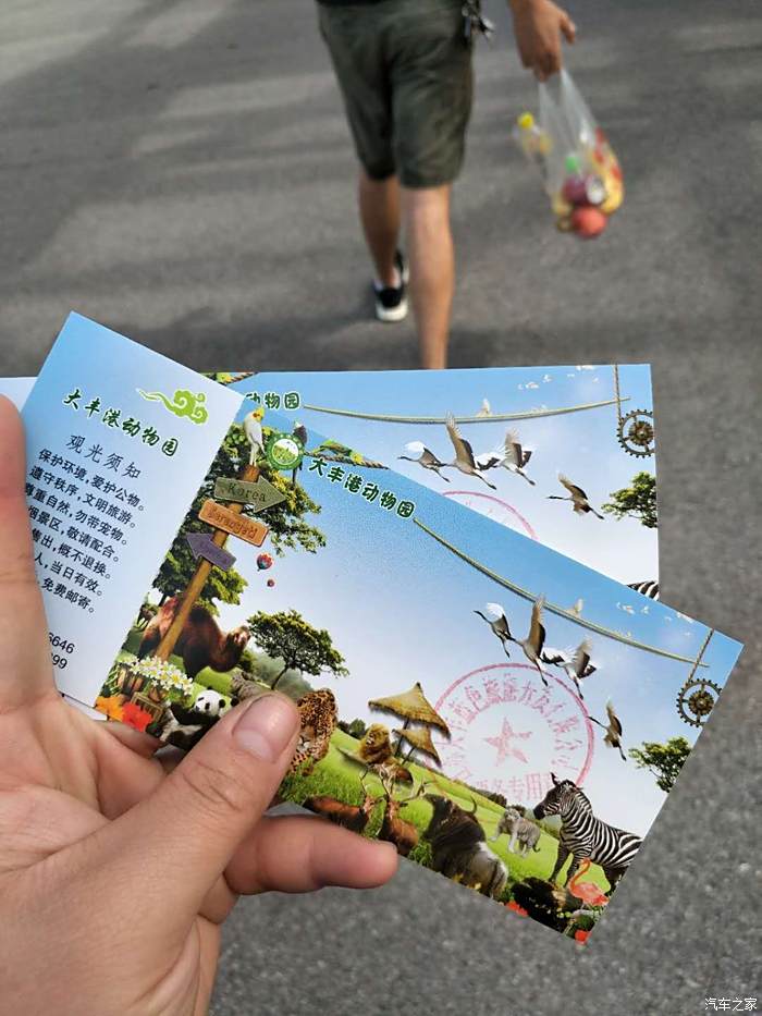 大丰港动物园导游图图片
