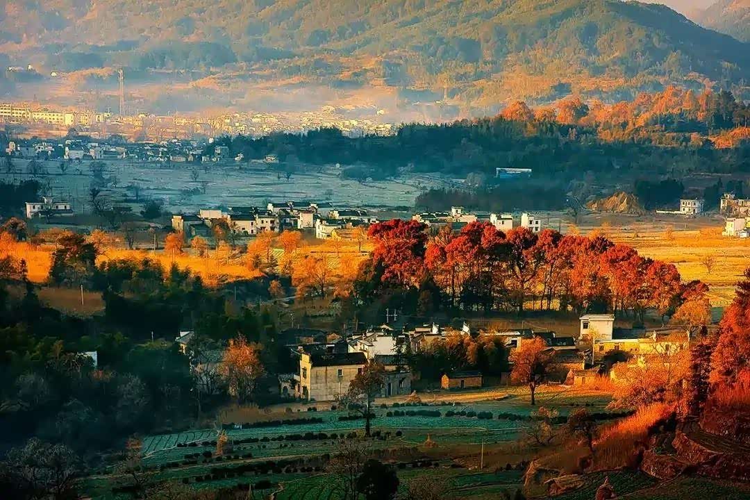 碧山村保存完好的明清时期古民居和祠堂就有100多座