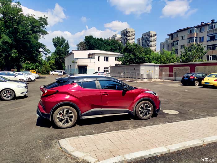 绿茵树下好乘凉给力的奕泽红黑小钢炮