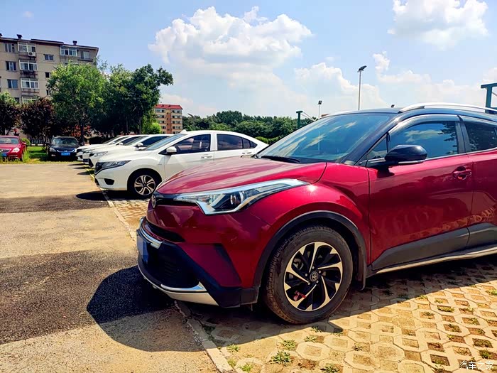 绿茵树下好乘凉给力的奕泽红黑小钢炮