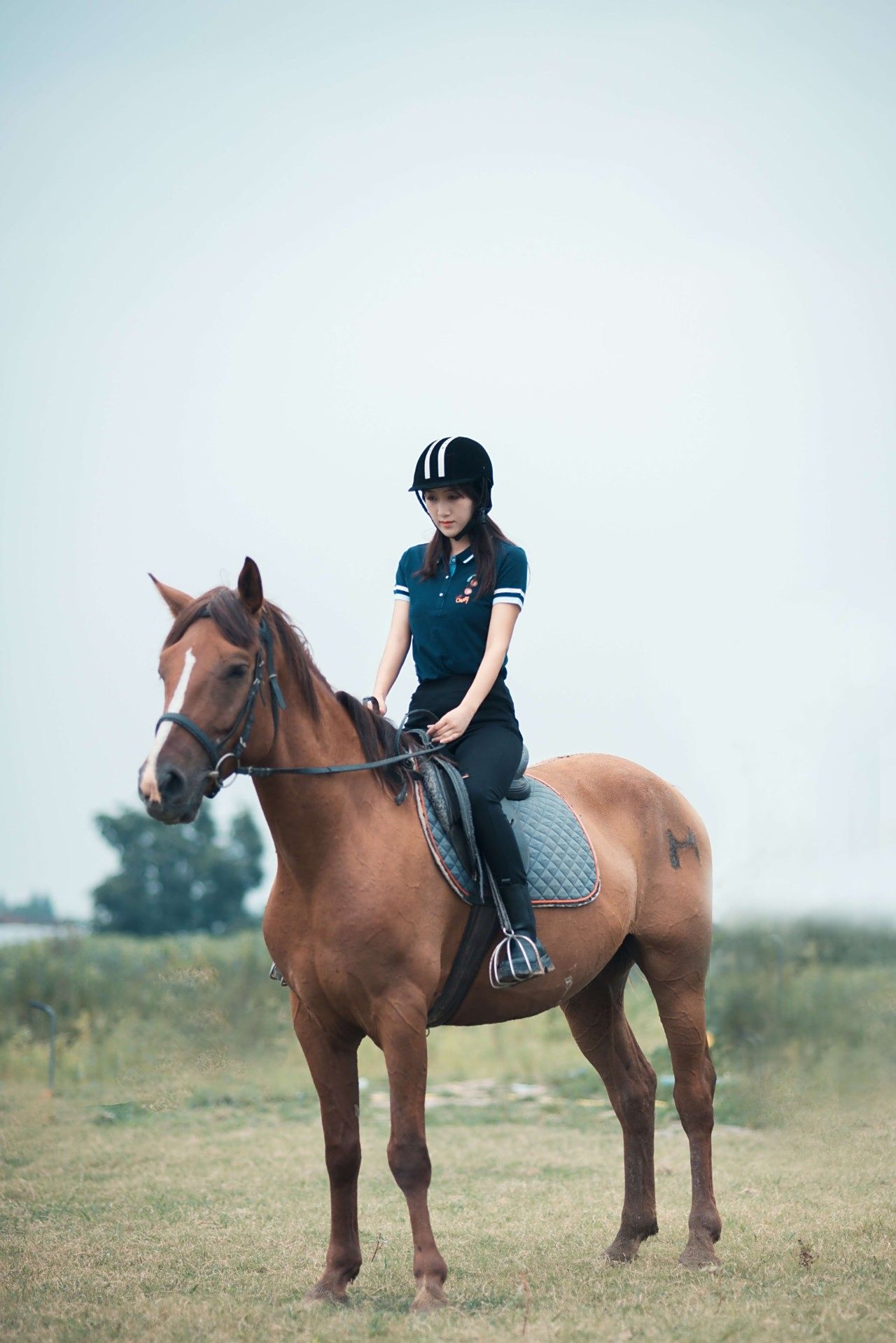 也可以是驰骋的女骑士也可以是温柔的伴马者