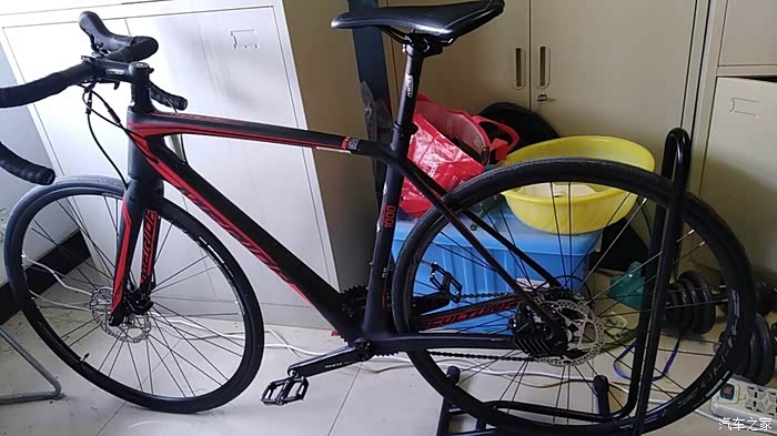 我的新伙伴——闪电鲁贝