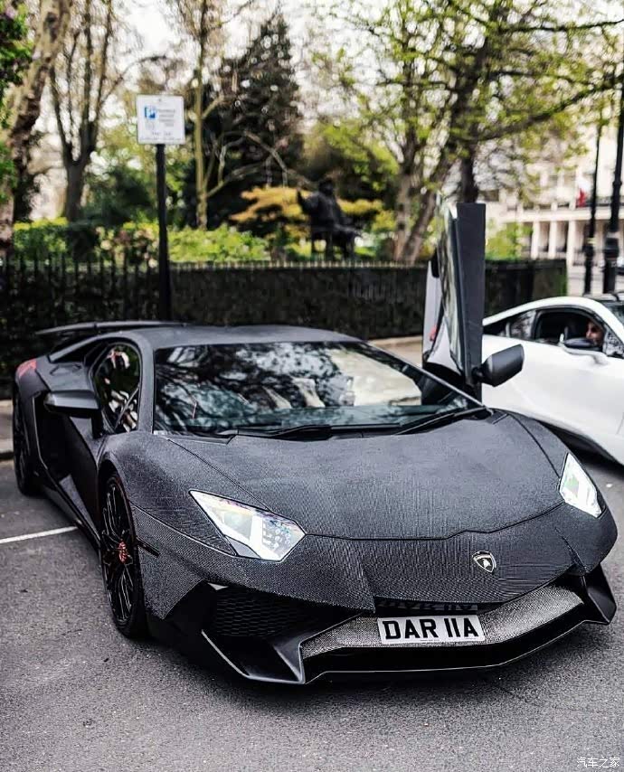 浑身上下镶满钻石的兰博基尼aventadorsv