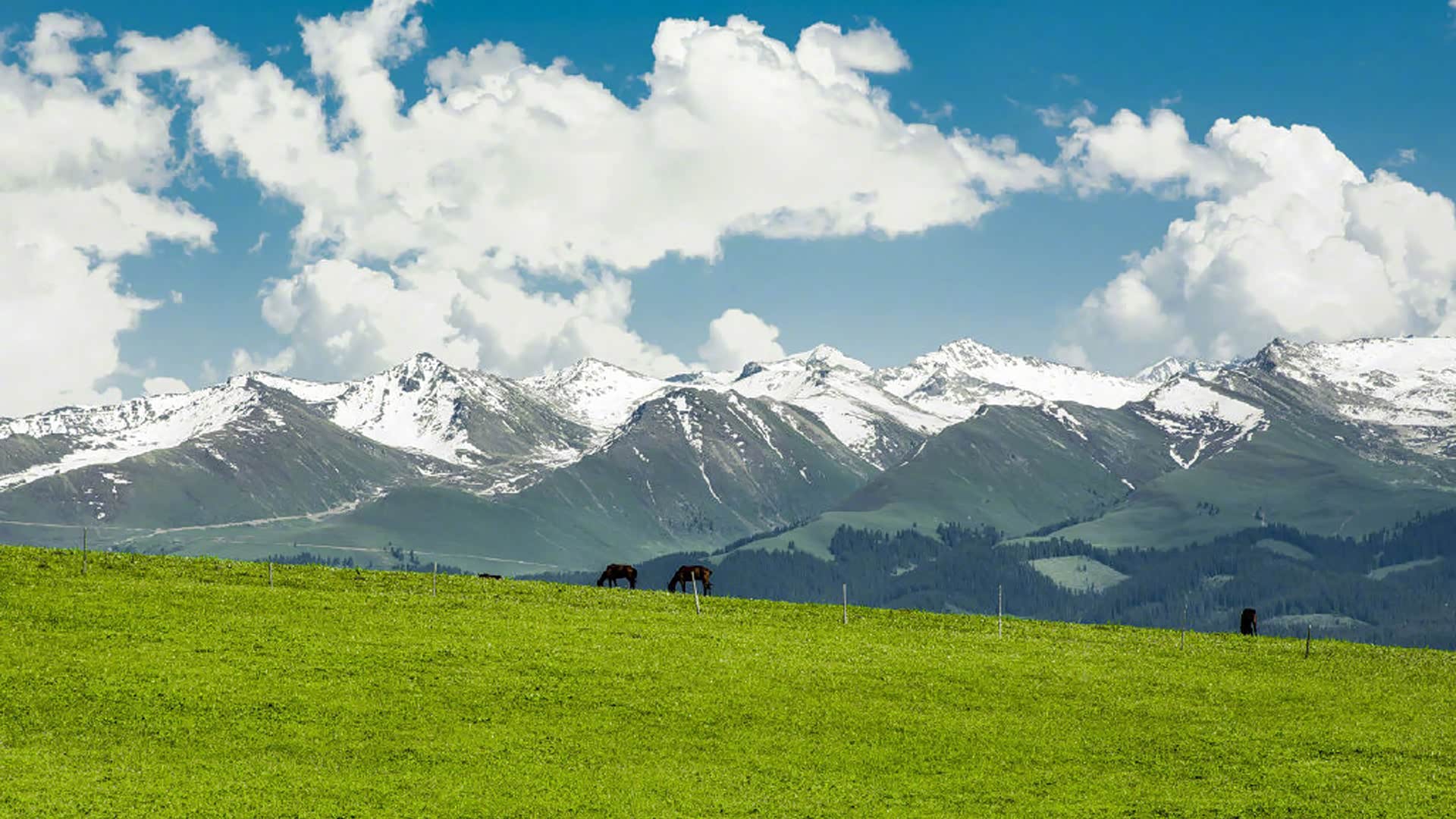 沿途的风景以及看风景的心情,让心灵去旅行.