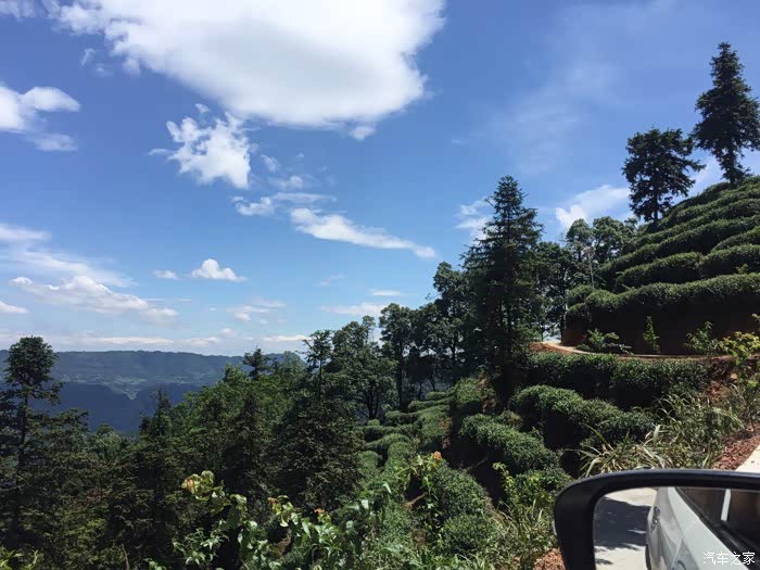 6月25日重庆江津区西湖镇骆来山游玩