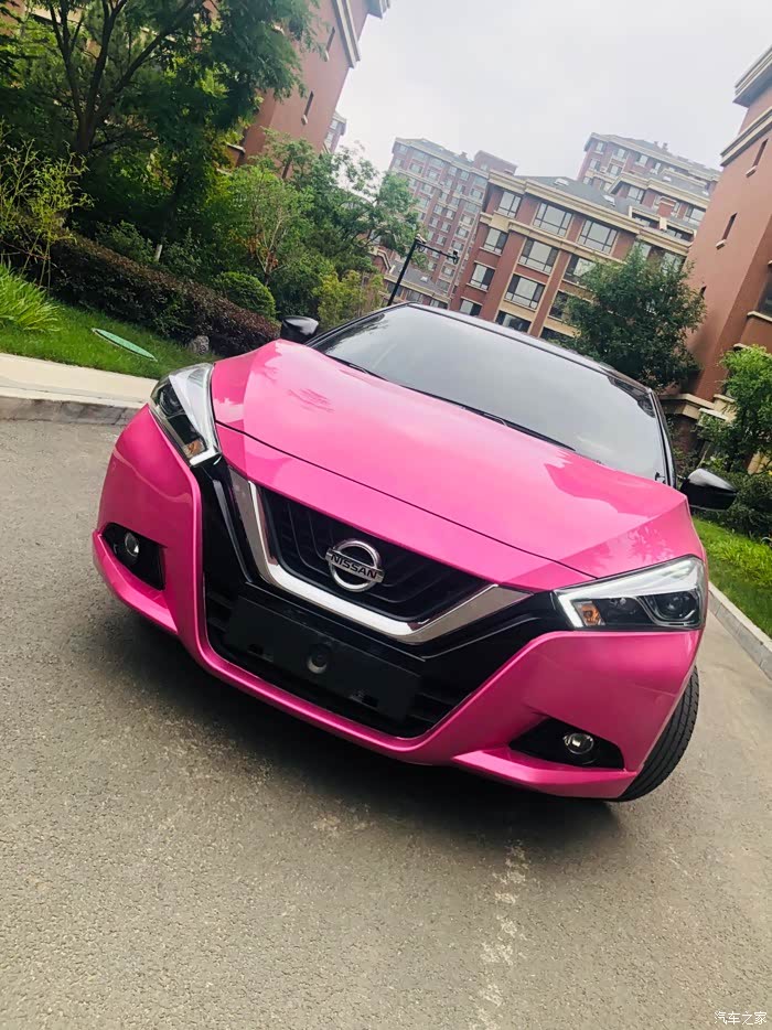 骚粉蓝鸟diy贴改色膜自己动手丰衣足食