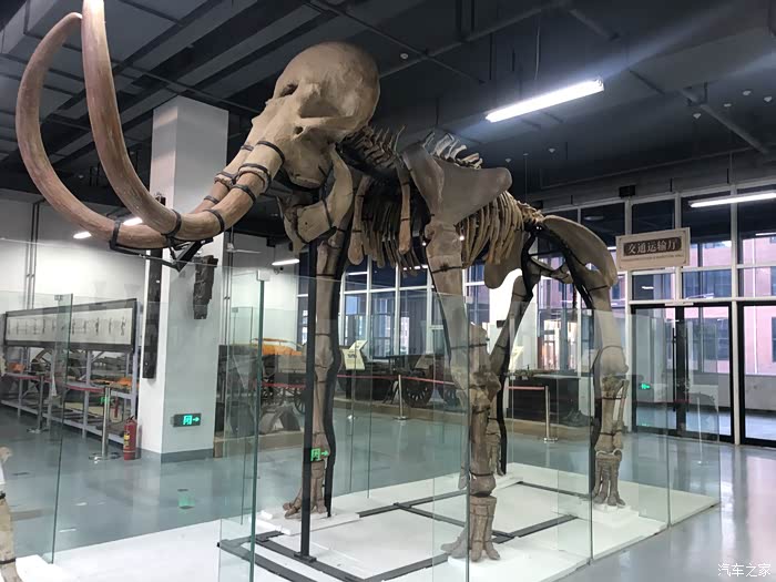 疯子游记告别2021参观力明艺术宫下