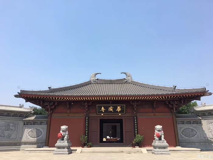 我不是药神我只是一个孤独旅者