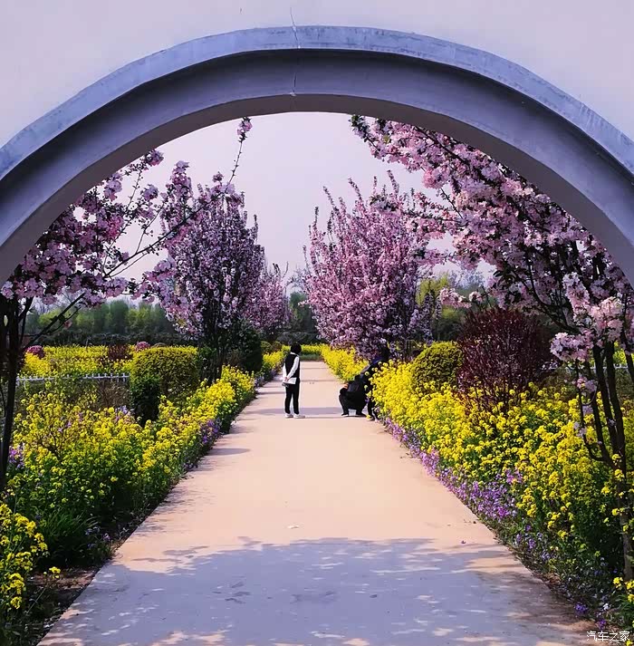 万物复苏送福利晋州的人民公社周家庄