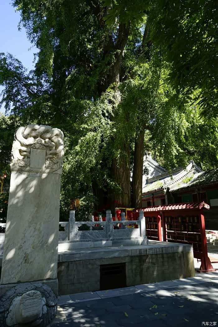 图文并茂看潭柘