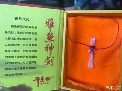 雅鱼头骨中像宝剑一样的骨头