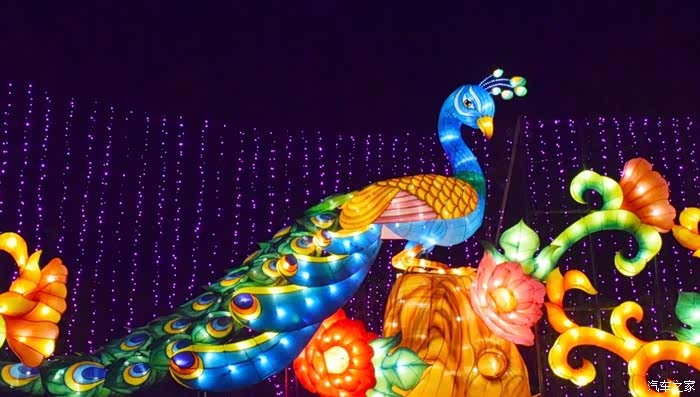 这个孔雀花灯造型很特色 带奶奶出门 奶奶很开心