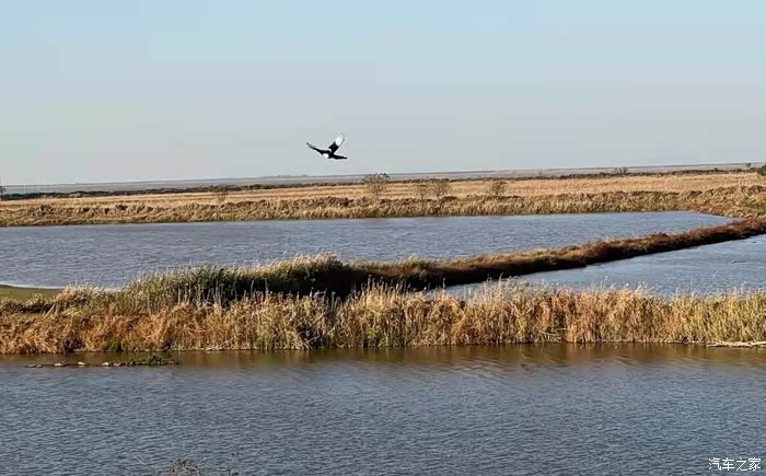 《双旦大征集-图文》周末放松打卡南矶山候鸟景观区