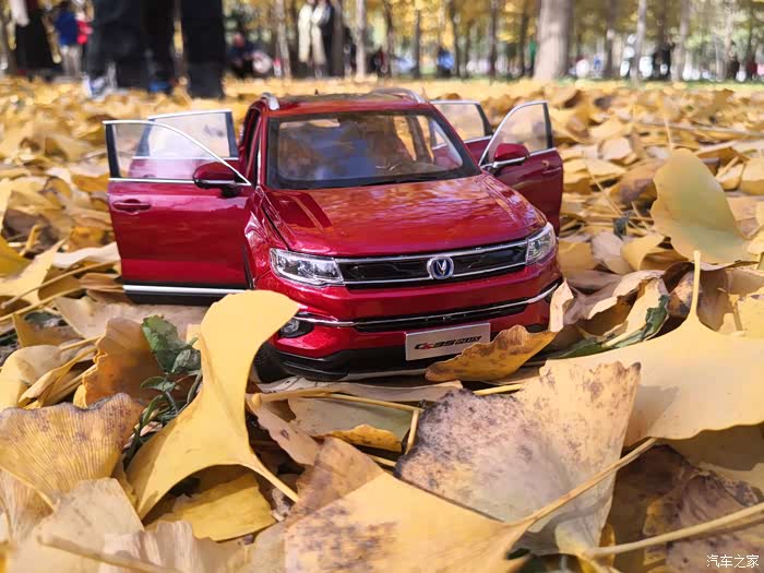 15周年落霞与孤雁齐飞35p与黄叶共舞