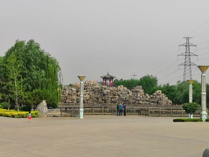 周末游安国植物园