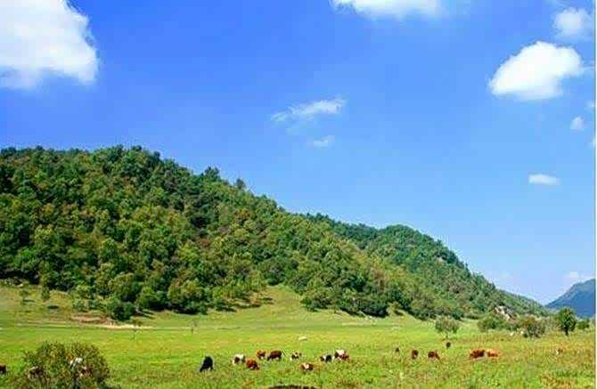 当地俗称"放马滩",景色真的很美.