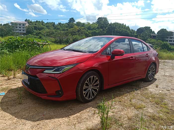 【2020大征集】丰田卡罗拉,有车如斯,夫复何求?