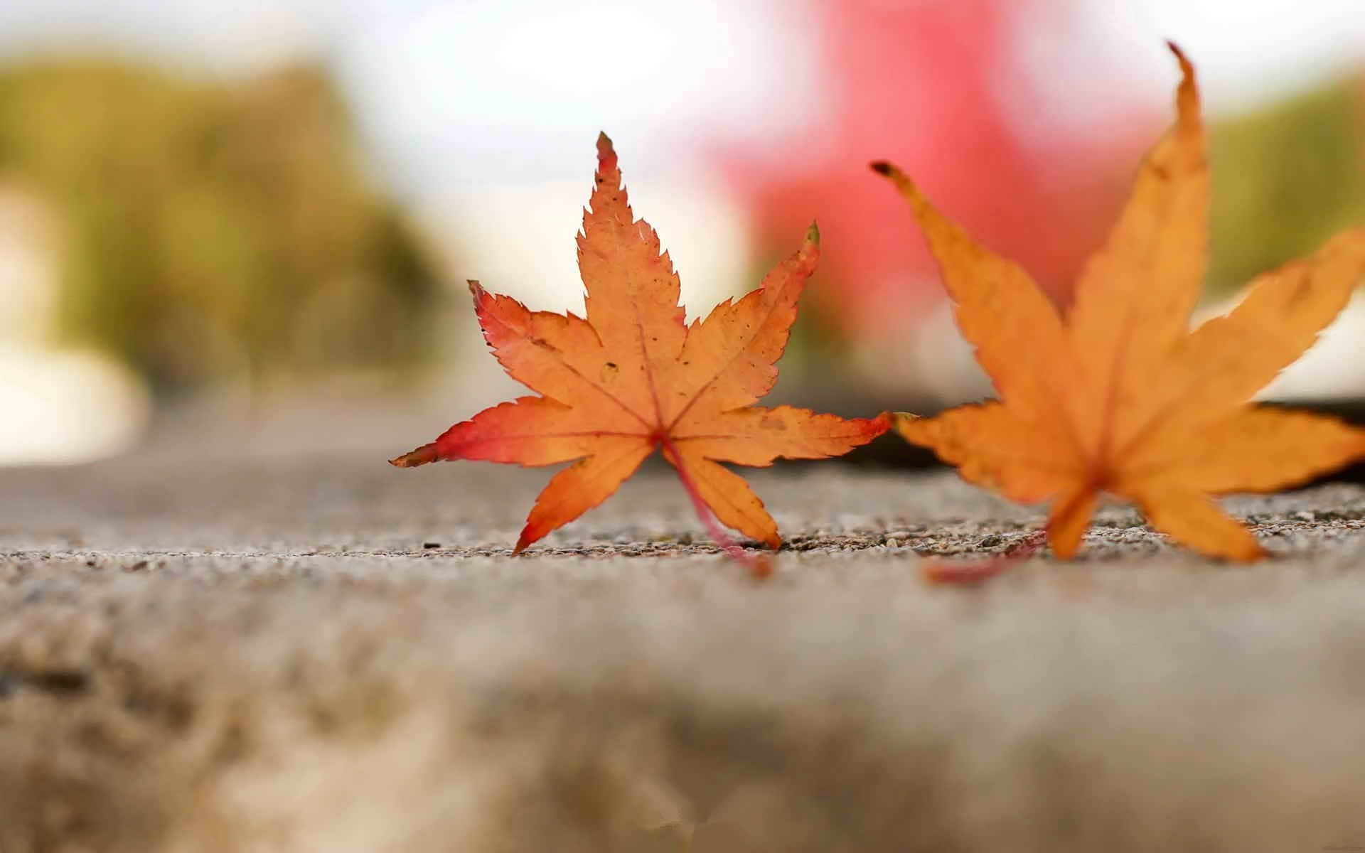 最为原始的古镇生活的气息.这就是我更喜欢 南浔 的理由