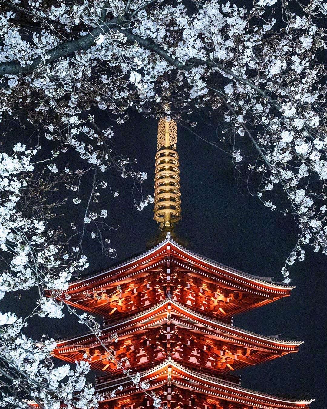 日本金龙山浅草寺,东京都内历史最悠久的寺院.