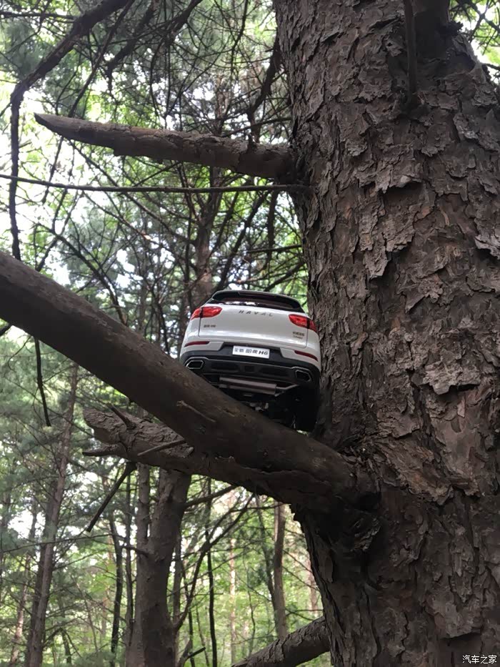 【汽车之家四平哈弗车友圈】聚在初秋,源于哈弗