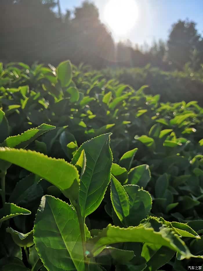盘旋崎岖的山路,登山顶之巅,举目远眺,畅自然之美,惬意!