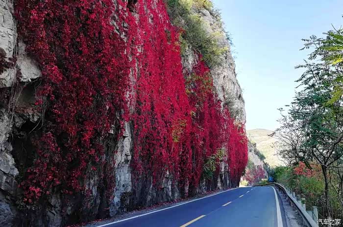 最美省道公路平涉线
