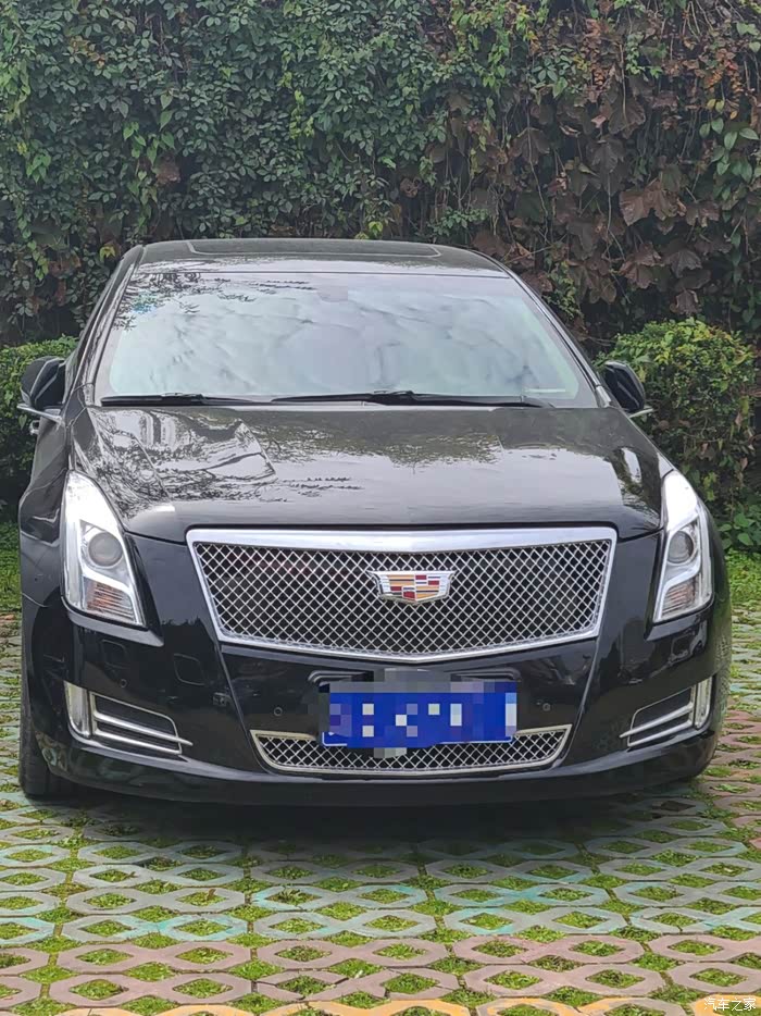 xts中网改造vsport