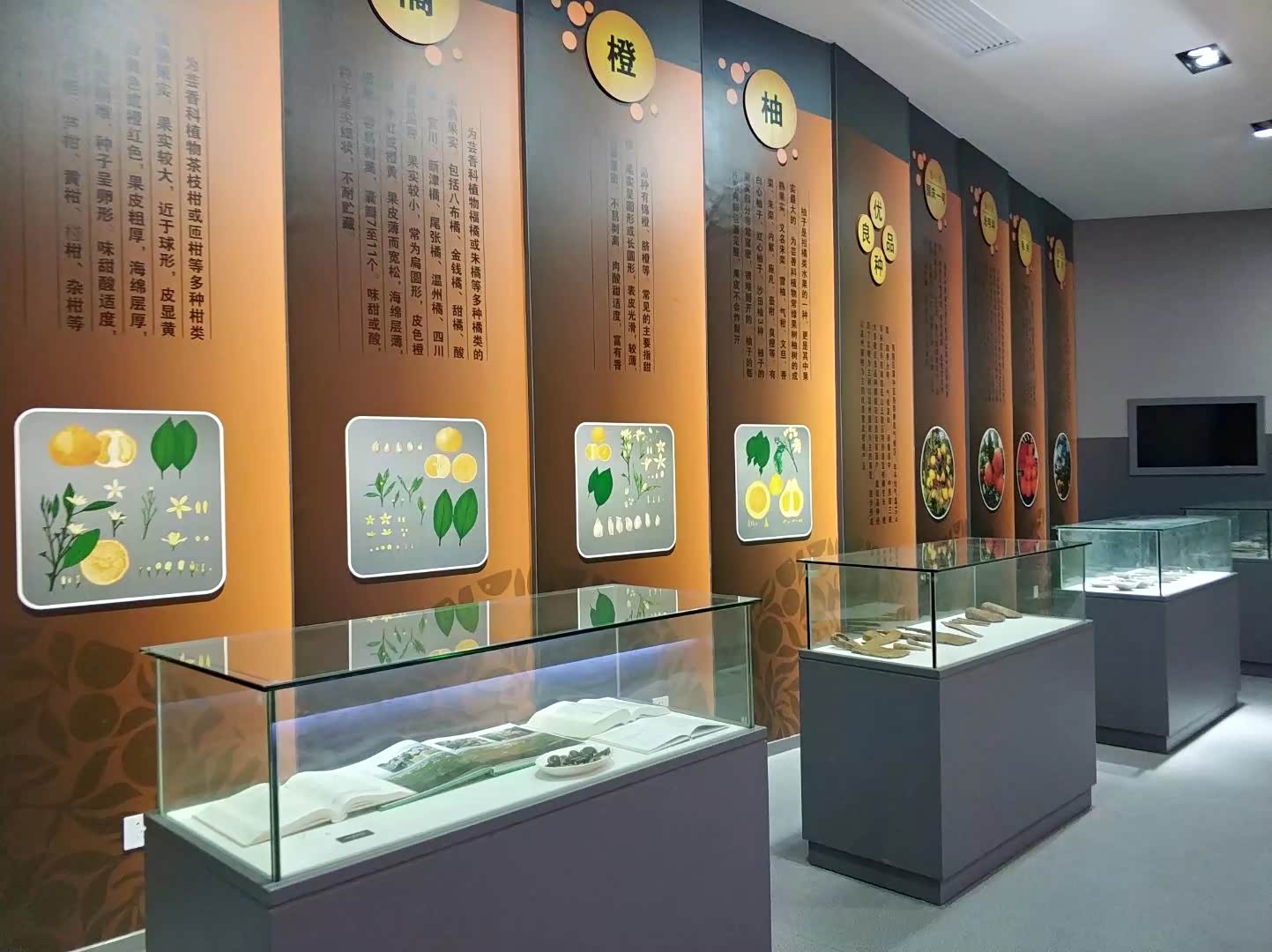 五一假期参观宜昌柑橘博物馆