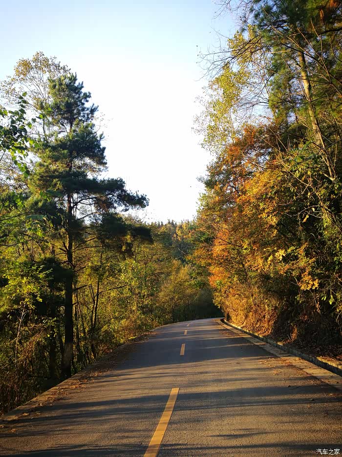 【图】贵阳最近赏秋处:半边山红枫林 大木村银杏_贵州论坛_汽车之家