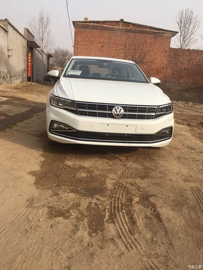 海贝金好看还是白色呢?有图片吗