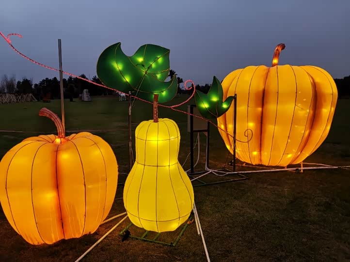 象征丰收的南瓜等果蔬.