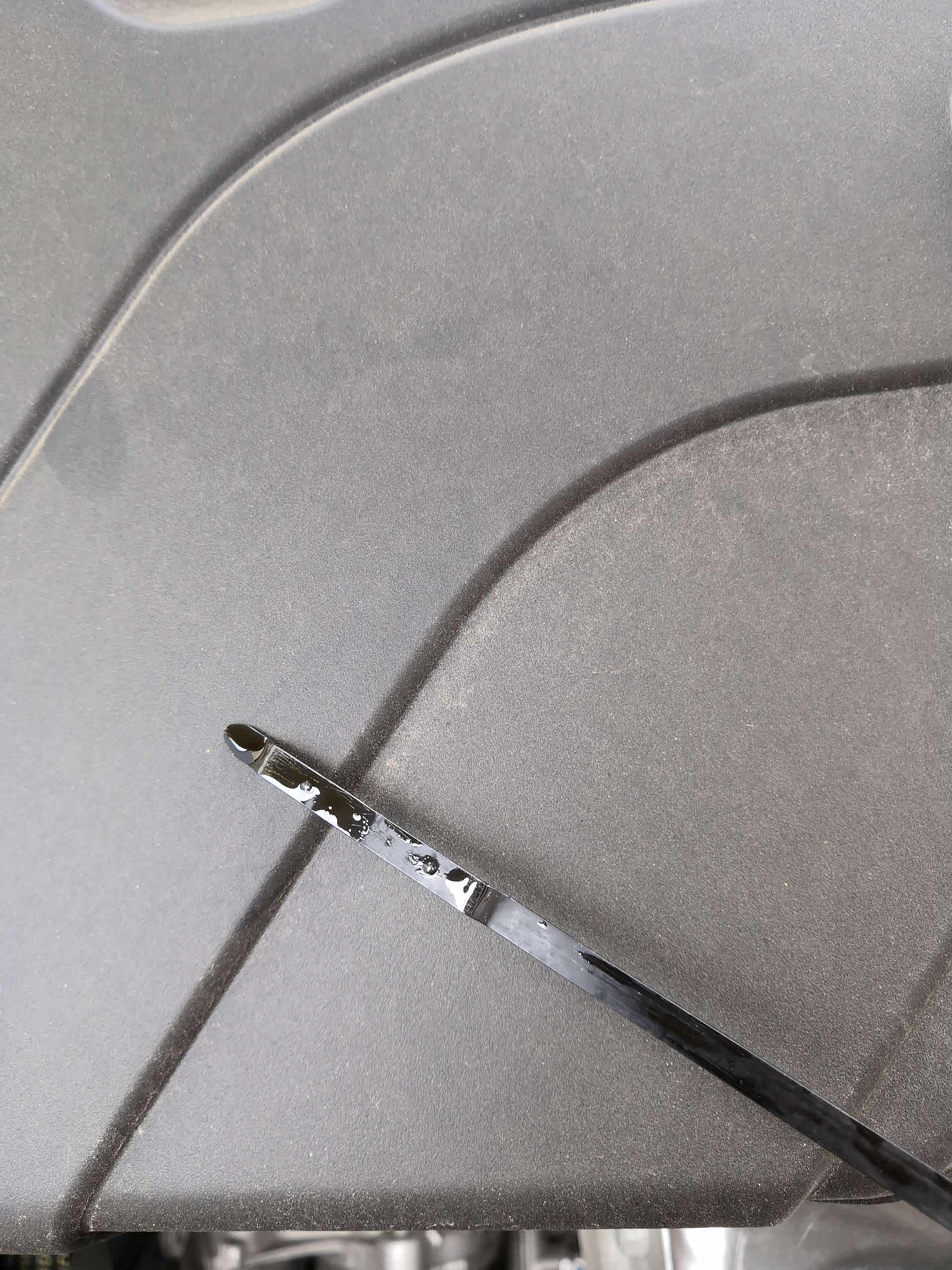 威朗论坛_汽车之家论坛