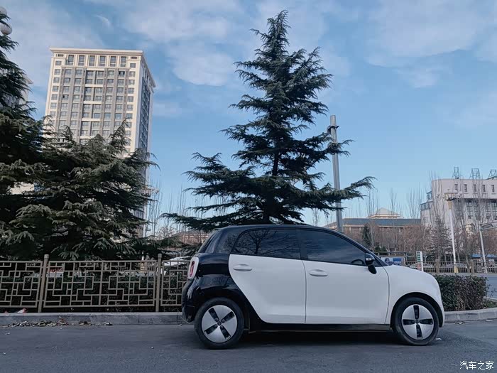 这是我的欧拉黑猫,我是它主人 我的欧拉黑猫黑白的配色,我超级喜欢