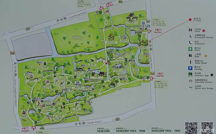 园中天地宽盆里乾坤大品读上海植物园盆景园