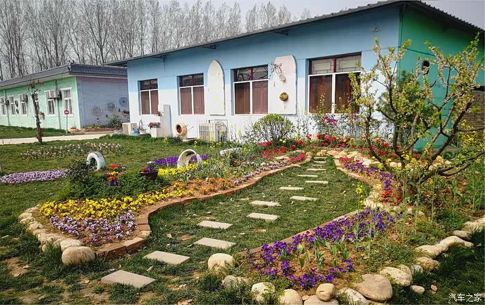 隔离之后首次撒欢去农场看看春光美景