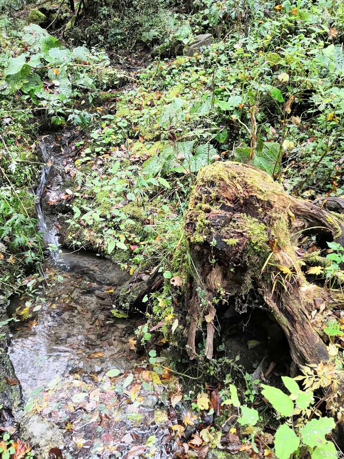 【盛世长安车友会】651小七带我游天下之215之神农架犀牛谷