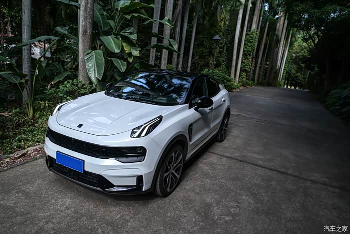 椰林密语与白色领克05共度惬意午后