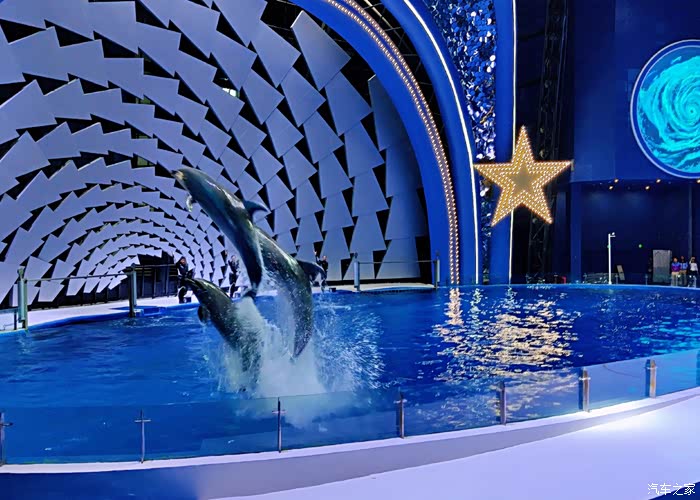 在蓝色的海洋世界,遇见海洋小精灵