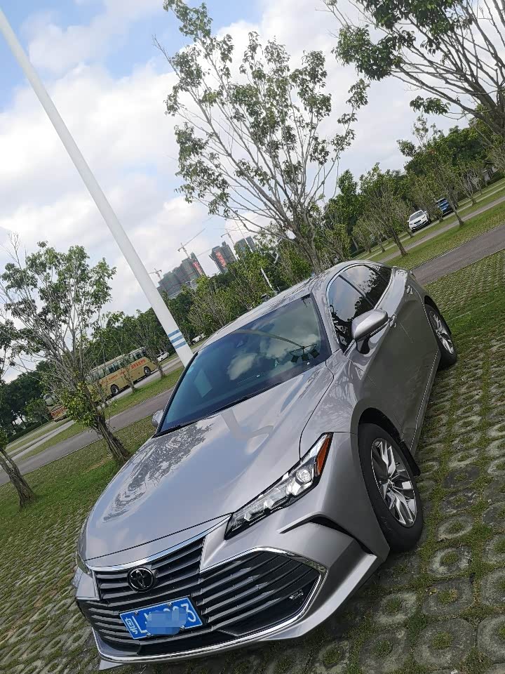 惠州提亚洲龙2088进取流光银