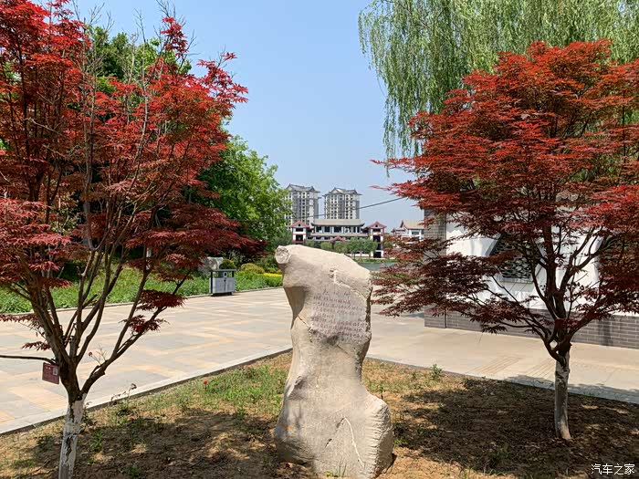 自驾君越去曲阜植物园看芍药花